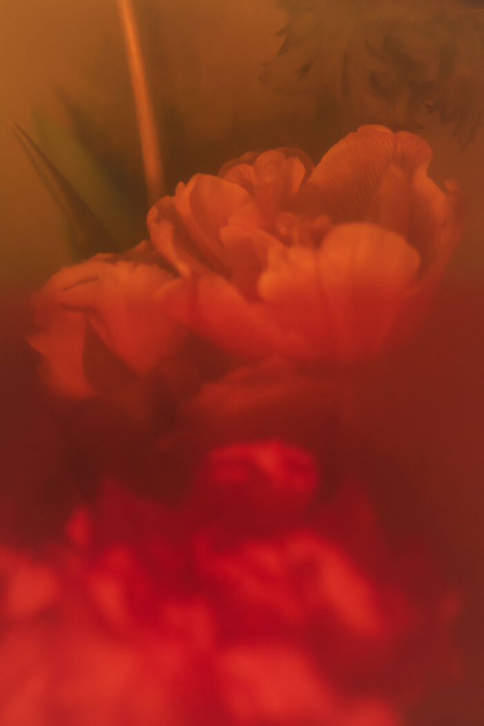 Soma Flora