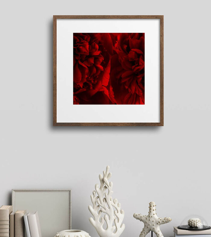 Crimson elegy
