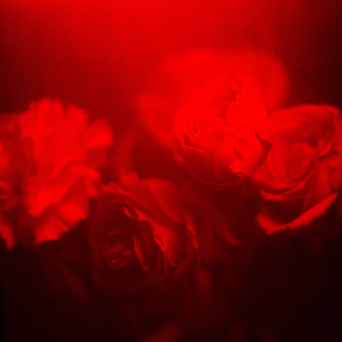 Desire