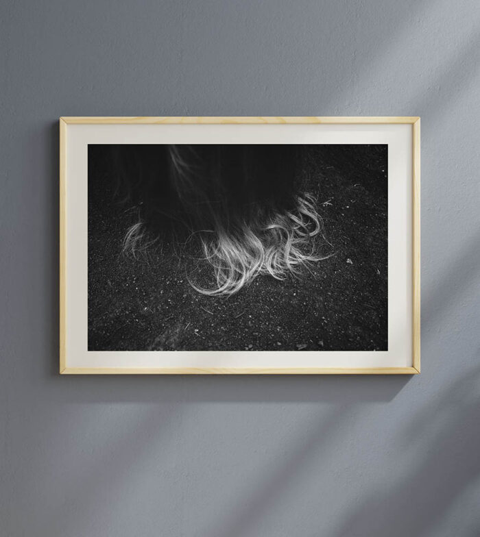 Hair Like The  Moon - Image 2